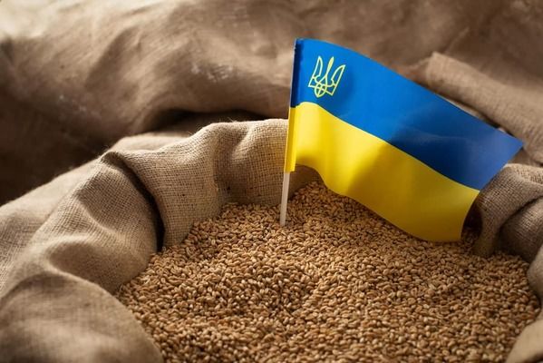 Украинский агроэкспорт стабилизирует рынок ЕС, а не разрушает его – эксперт KSE