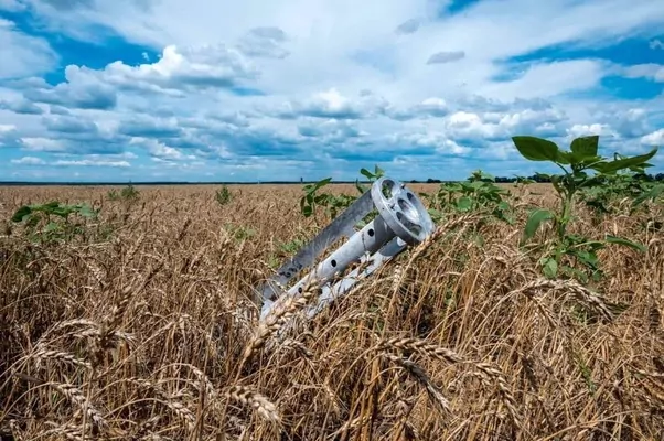 Уряд обіцяє розмінувати понад 3 мільйони гектарів у 2025 році