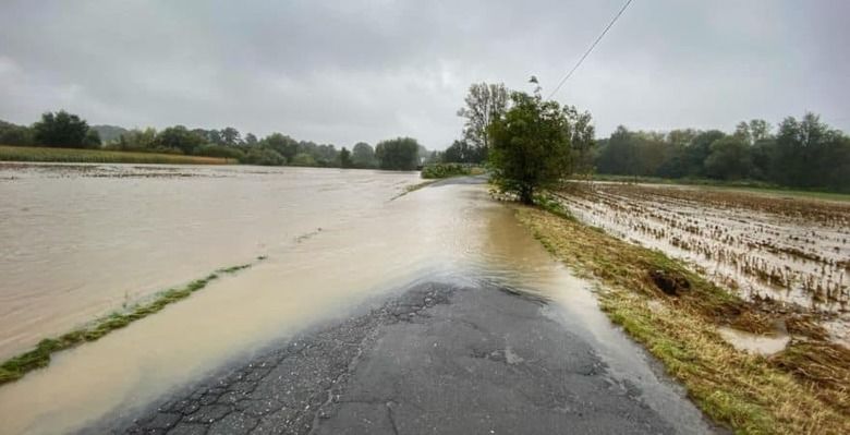 После катастрофических наводнений британские фермеры сообщают о худших урожаях зерна за последние 20 лет