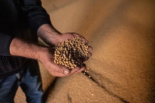 Экспортный прорыв: в марте Украина продала товаров на $3,6 млрд