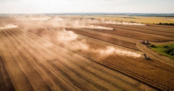 Какую долю украинского экспорта составляет агропродукция – и кто главные покупатели?