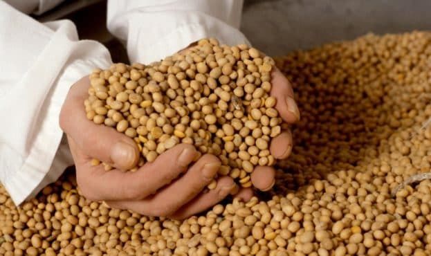Китай резко сократил импорт сои в марте на фоне торгового напряжения из США.
