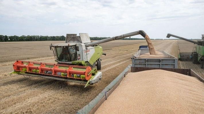 Украинский агроэкспорт дорожает: в апреле тонна продукции выросла в цене на 40%