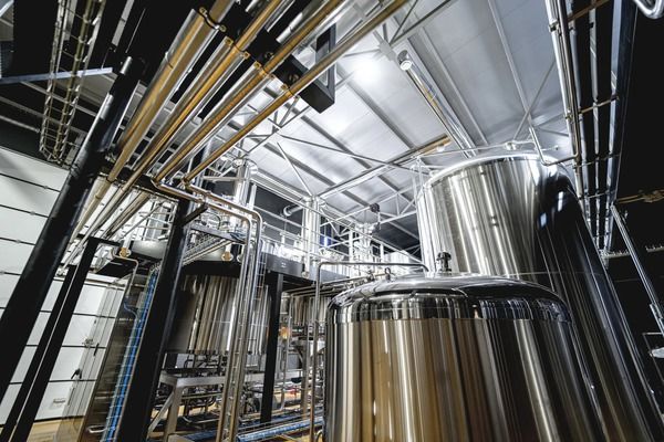 Один із найбільших переробників фруктів у Європі запустив в Україні завод