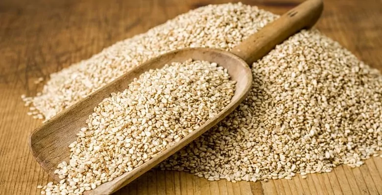 Украинские фермеры все чаще выбирают масличные культуры