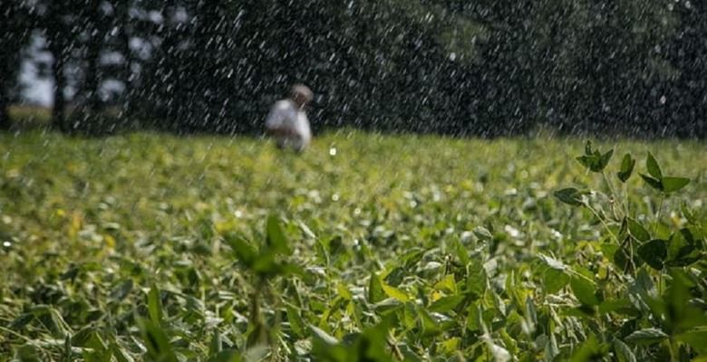 Урожай в Украине под угрозой: в апреле выпало всего 63% осадков от нормы