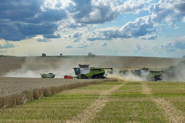 Ще 390 млн грн від Світового банку: українські аграрії отримають нові дотації