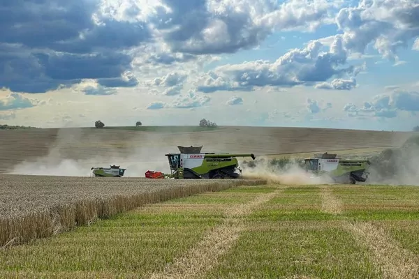 Ще 390 млн грн від Світового банку: українські аграрії отримають нові дотації