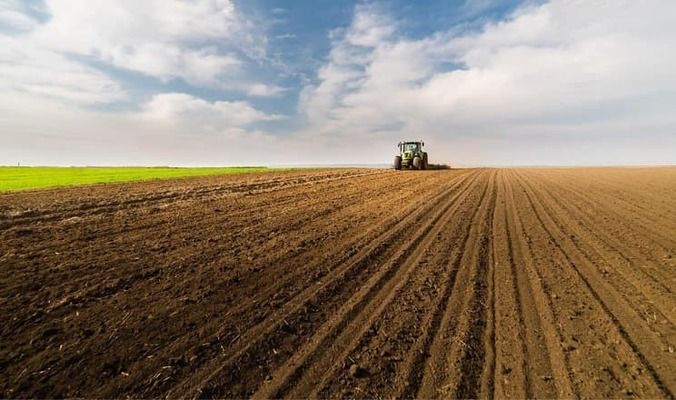 В Україні вже засіяли понад 11 млн га ярих культур — лідирують Полтавщина та Чернігівщина