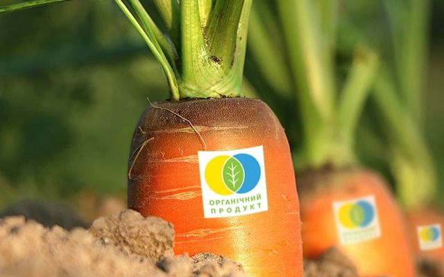 Украина вошла в тройку крупнейших поставщиков органической продукции в ЕС