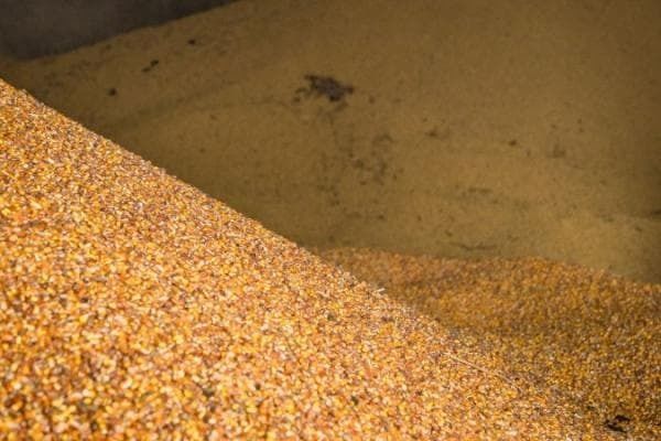 ЕС вводит квоты на украинскую агропродукцию: с 6 июня отменен льготный торговый режим