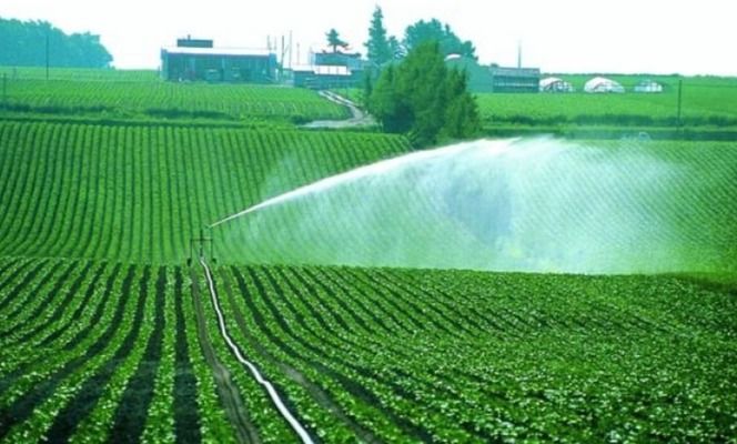 Фермеры Украины активно увеличивают оросительные площади