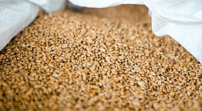 Армения запретила вывоз зерна и растительного масла из страны