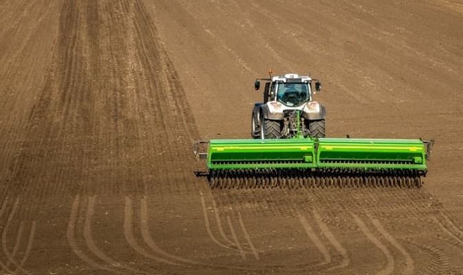 НААН проаналізувала стан ярих культур