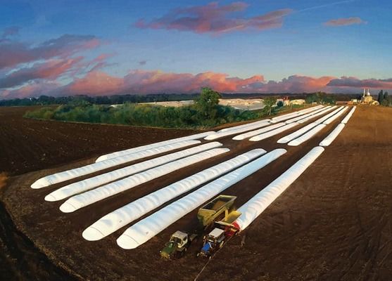 Украинские фермеры могут бесплатно получить зерновые рукава