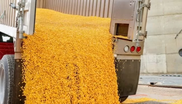 Июньский спад: экспорт украинской агропродукции сократился почти на четверть