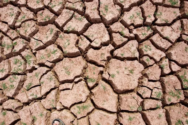 Водный кризис в Украине: как мы оказались на грани дефицита