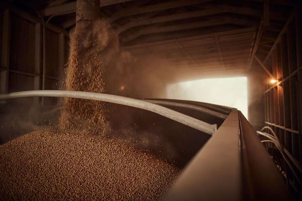 Минагрополитики обновило минимальные цены на экспорт агропродукции