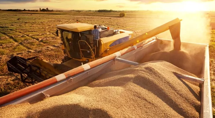 Украина сможет собрать более 80 млн тонн зерновых и масличных