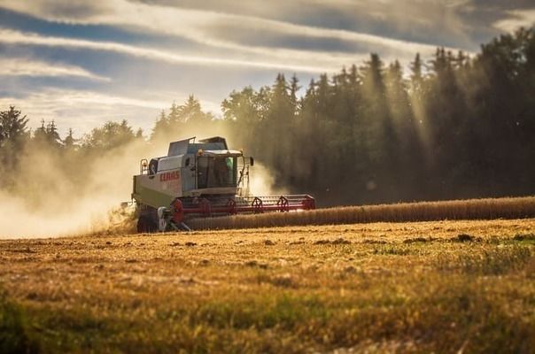 Через скасування європреференцій агроекспортери втрачатимуть $700 млн — НБУ
