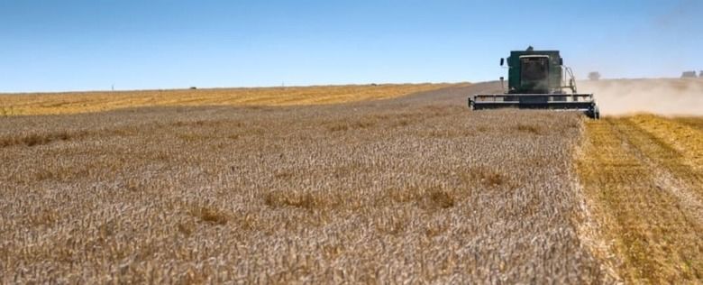 Нацбанк пересмотрел прогноз агропроизводства Украины