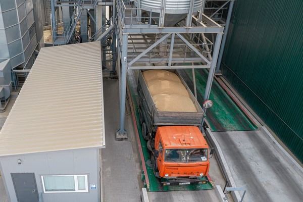 Украина отгрузила 131 тыс. тонн зерна за первые дни августа