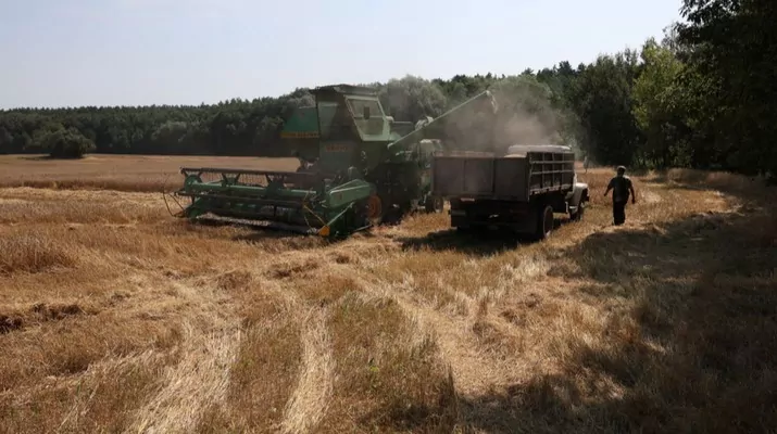Українські аграрії вже обмолотили 47% площ зернових