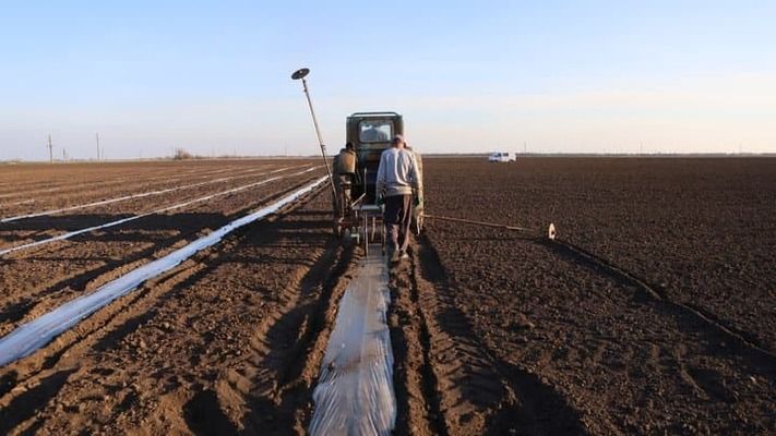 Аграрии прифронтовых общин получат денежную поддержку от государства: по 1000 грн за гектар