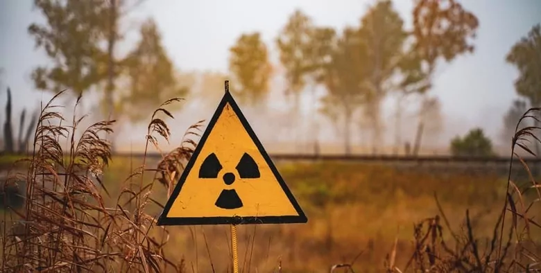 На Житомирщині викрили вирощування врожаю на землях радіаційної зони