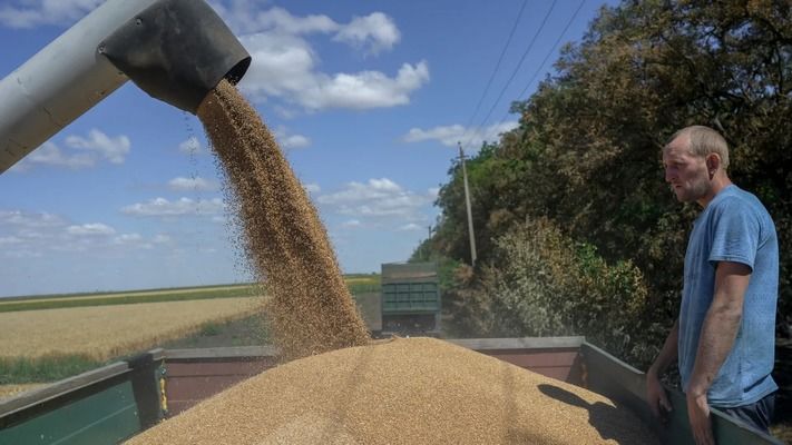 Grain from Ukraine уже поставила почти 300 тыс. тонн продовольствия в страны Африки и Азии