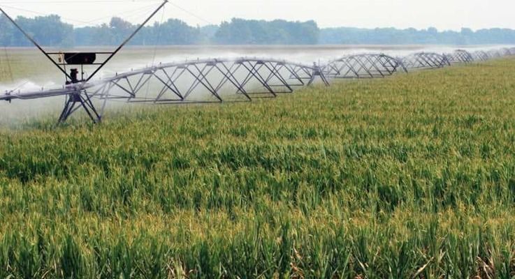 Україна може відновити зрошення на понад мільйон гектарів у найближчі роки