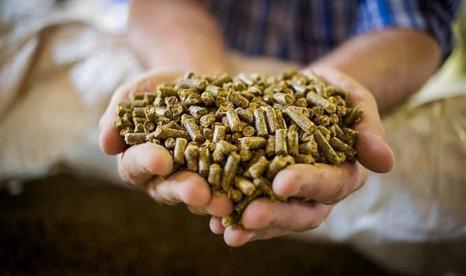 Китай згортає закупівлі українського шроту