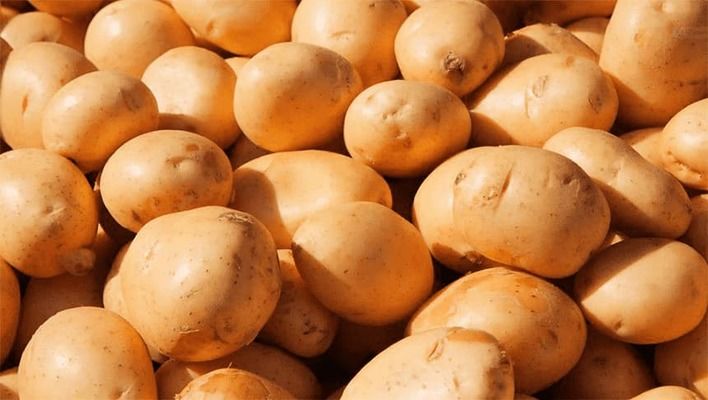 Цены на картофель в Украине и Молдове обвалились из-за рекордного урожая