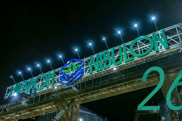 «Нібулон» прагне повернути довоєнну частку на ринку експорту зерна