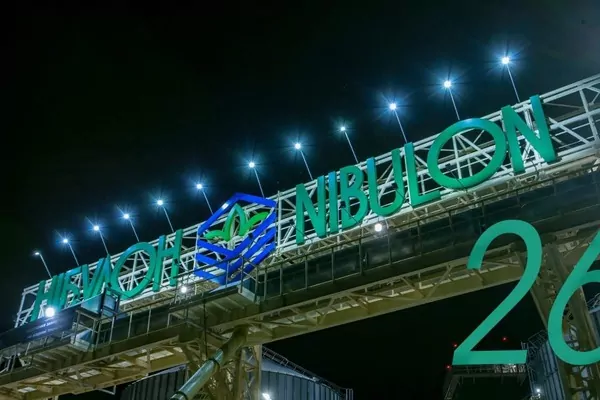 «Нибулон» намерен вернуть довоенную долю в экспорте зерна