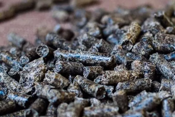 Украина экспортировала почти 160 тысяч тонн гранулированного жома в 2024/25 МГ