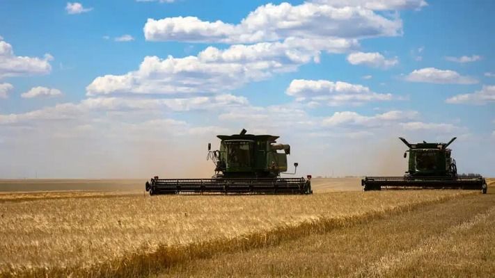 Аргентина очікує врожай пшениці на рівні рекорду 2021–22 років