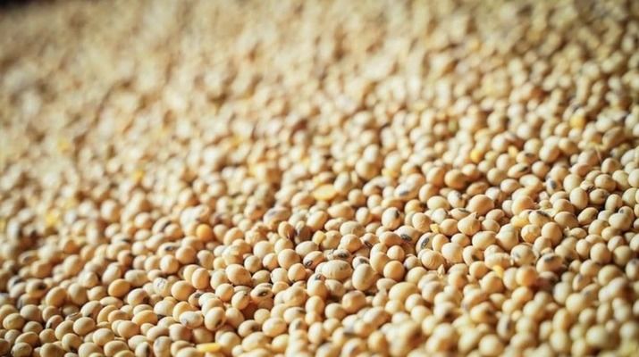 Китай отложит расширение ограничений на редкоземы и возобновит закупки американской сои — Бессент