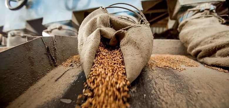 Сирія отримала чергову партію української пшениці