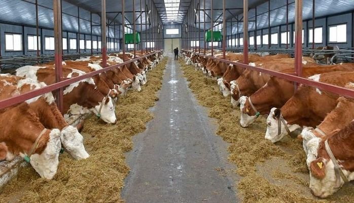 Держава компенсуватиме 50% вартості будівництва ферм на прифронтових територіях