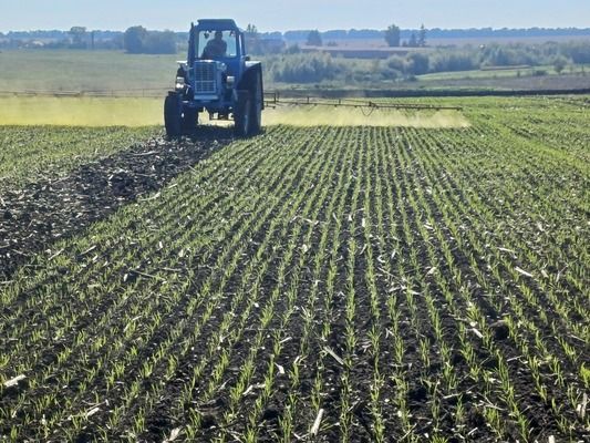 Майбутній урожай озимих залежить тільки від зими — НААН