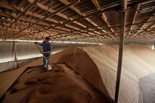 FAO завершила розподіл понад 600 зерносховищ для фермерів прифронтових областей