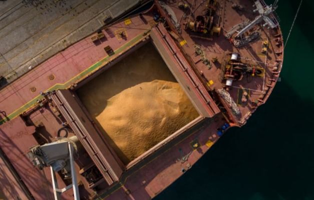 В Украине раскрыта схема экспорта зерна с уклонением от уплаты налогов на более чем 114 млн грн