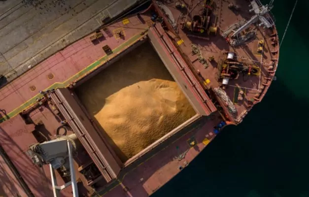 В Україні викрито схему експорту зерна з ухиленням від сплати податків на понад 114 млн грн