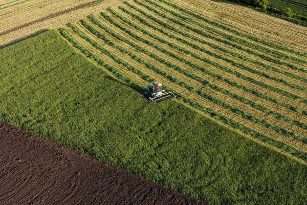 Рынок земли почти восстановился: гектар подорожал до рекордных 71 тысячи гривен