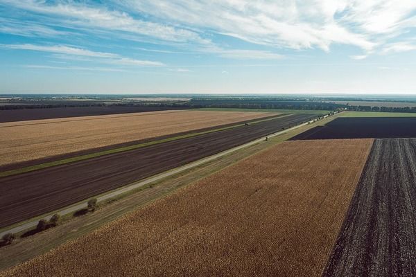 Земля продолжит дорожать: в 2026 году ожидается рост цен на 10-15%