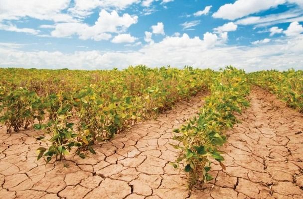 Климат меняет агрокарту Украины: зона достаточного увлажнения смещается на север