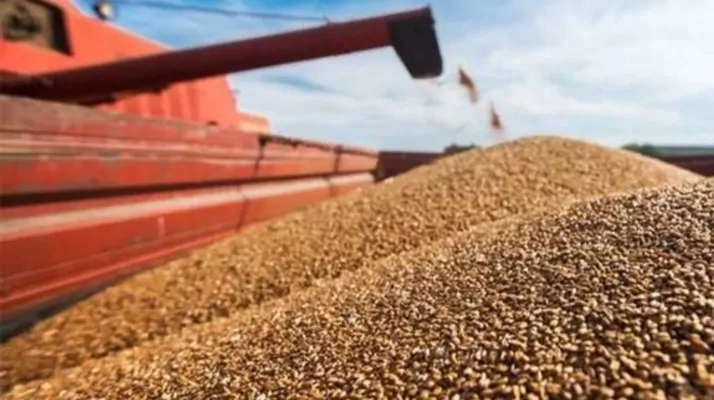 Экспорт украинского зерна почти достиг 17 млн тонн с начала сезона