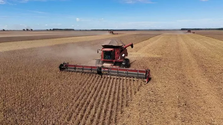 Великі зернотрейдери можуть вийти з «соєвого мораторію» в Бразилії: