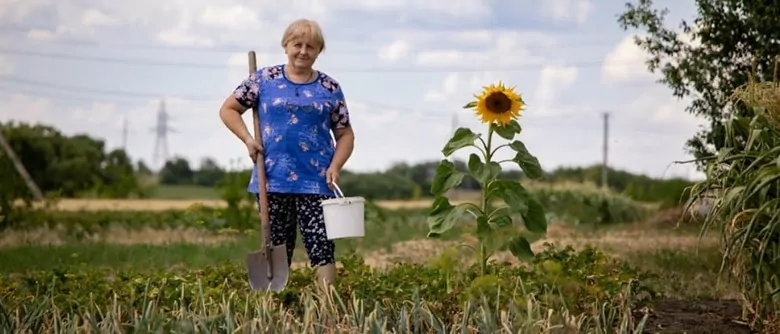 ФАО представила план відновлення агросектору України на 2026–2028 роки